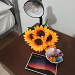 Eco * 그리졸리아