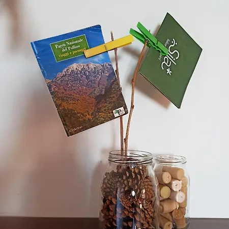 Eco גריסוליאה