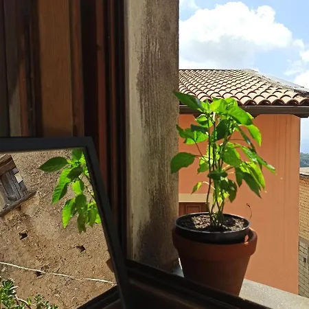 Eco Hostel *