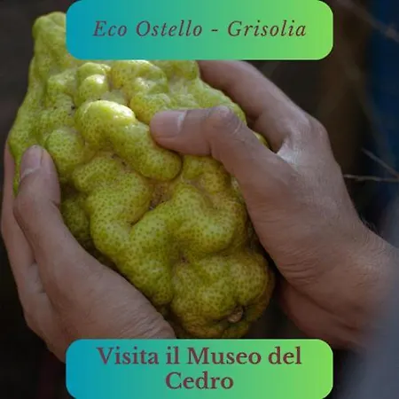Hostel Eco Grisolia
