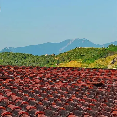 Eco *