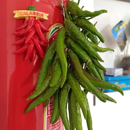 Eco גריסוליאה