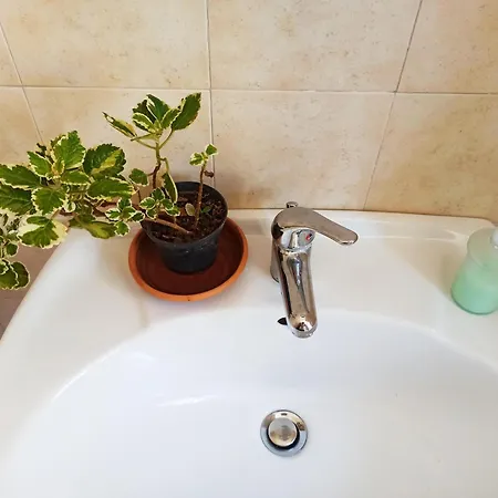 אכסניה Eco