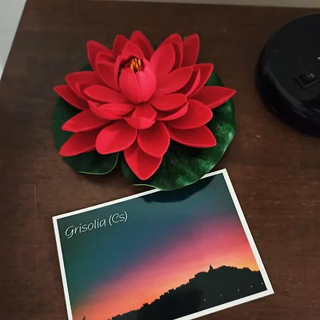 Eco * 格里索利亚