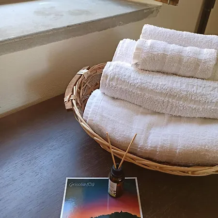 Auberge de jeunesse Eco *