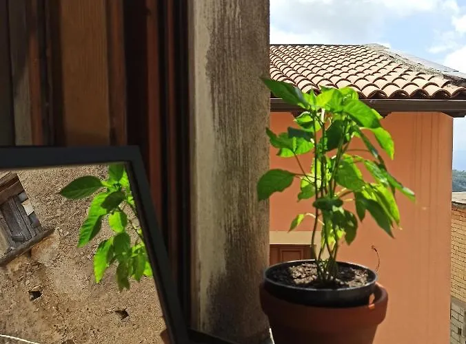 Eco Auberge de jeunesse *