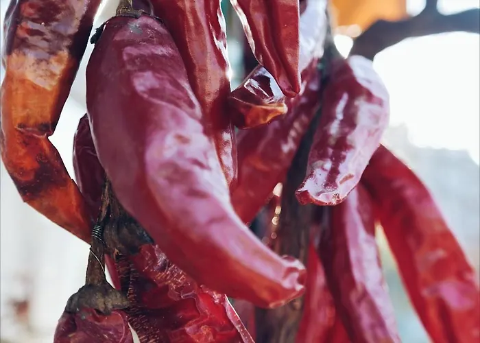 Eco Auberge de jeunesse Grisolia