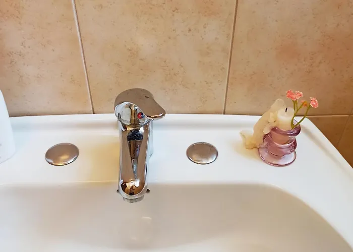 Auberge de jeunesse Eco Grisolia