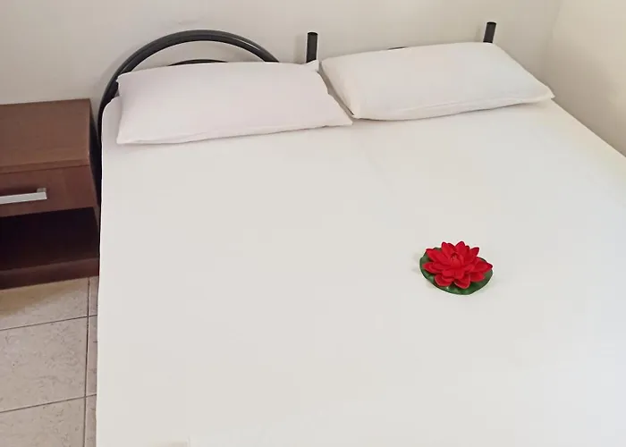 Auberge de jeunesse Eco