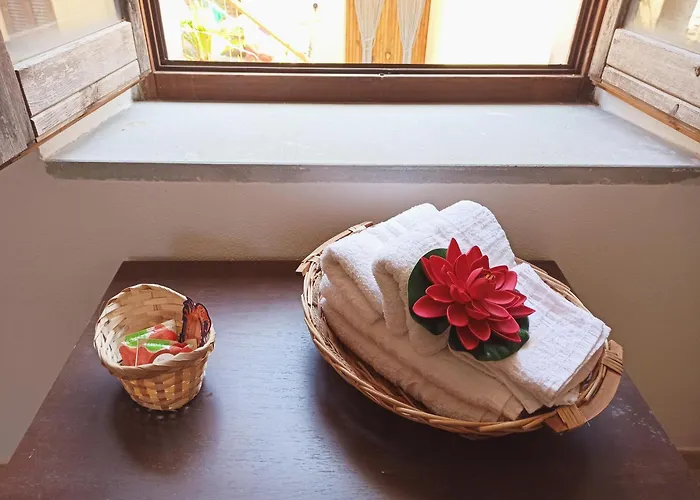 Auberge de jeunesse Eco Grisolia